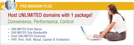 Pro Bargain Plus Webspace Hosting Package