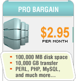 Pro Bargain Webspace Hosting Package